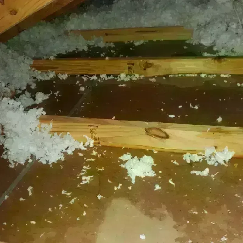 Attic Water Damage in Carrollton, IL