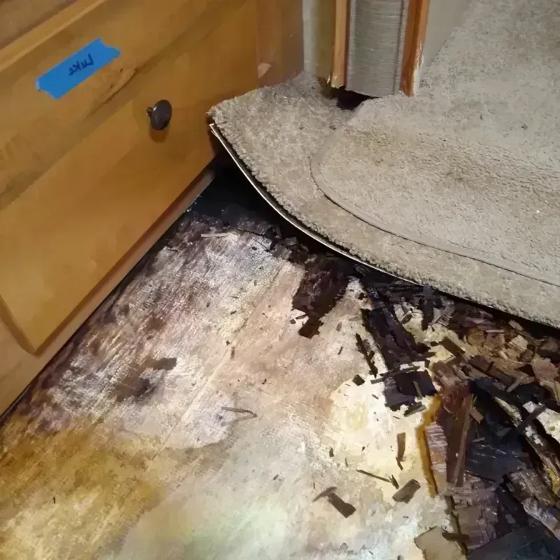 Wood Floor Water Damage in Carrollton, IL